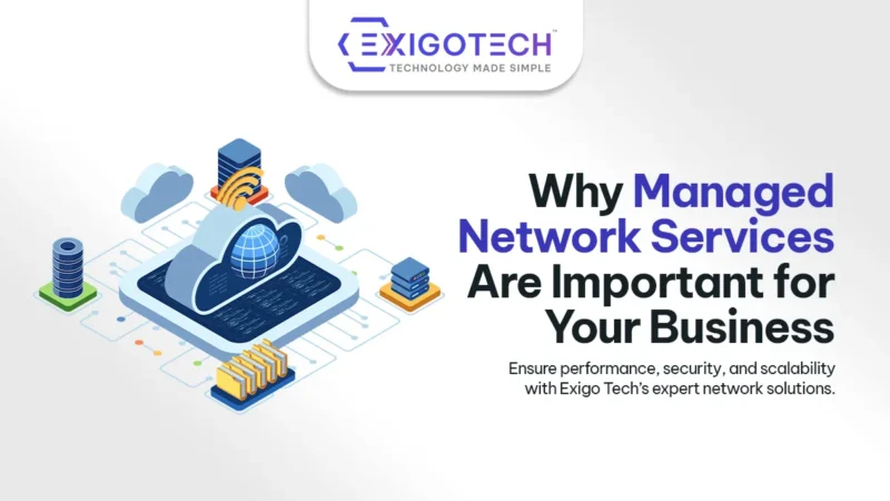 Why Managed Network Services Are Important for Your Business - Blog Feature Image for Website